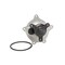 Dayco Water Pump, DP969 DP969 - alternate 3